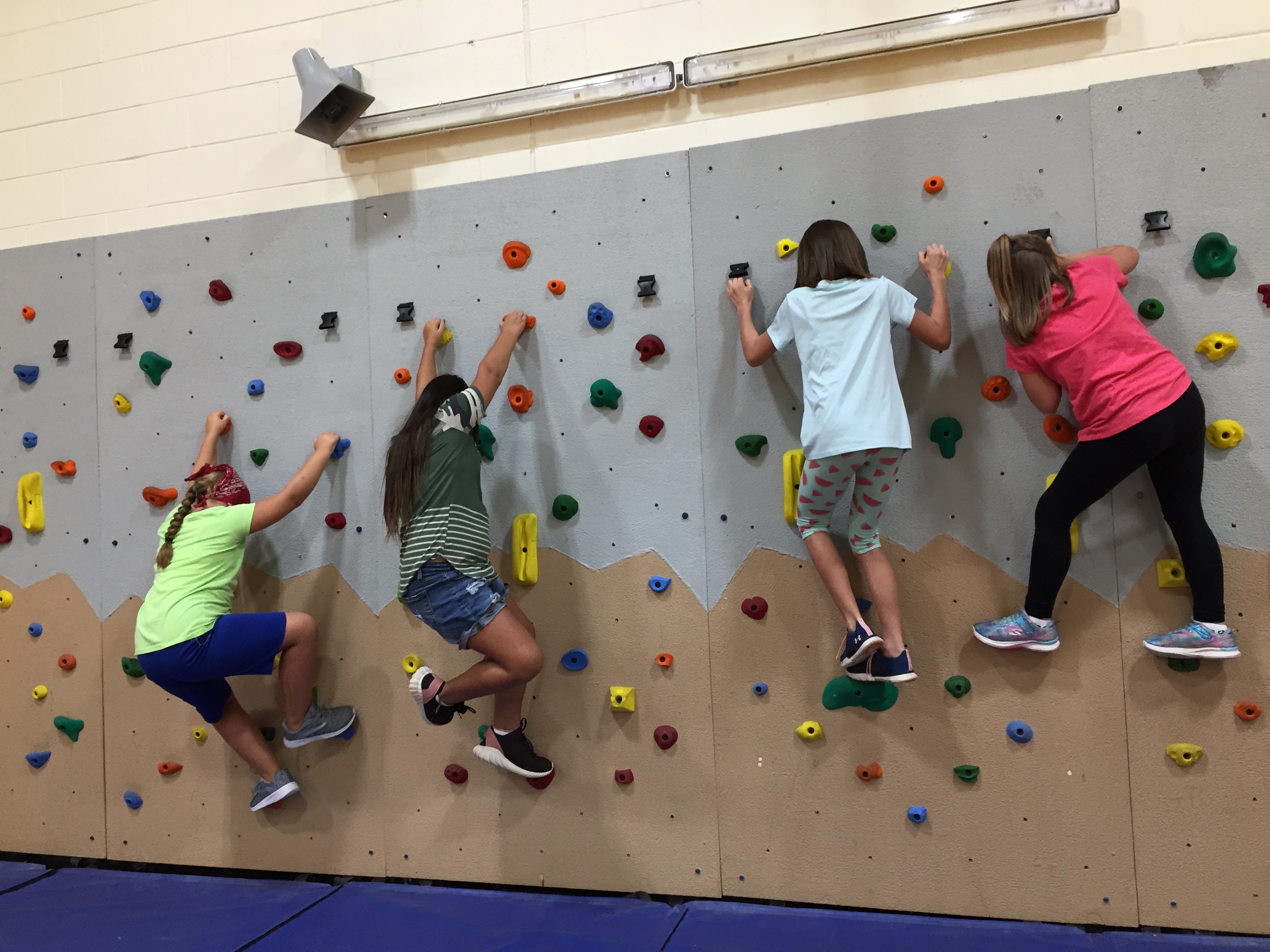 Climbing Wall