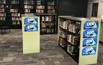 Library Shelves